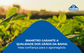 Capa de Ibametro garante a Qualidade dos Grãos da Bahia: mais confiança para o agronegócio.